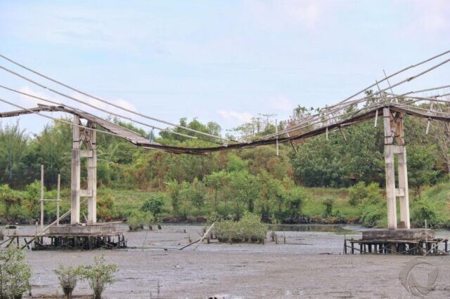 Pembangunan Jembatan Bambu di Mangrove Wonorejo Surabaya, Senilai Rp 1,2 Miliar Mangkrak