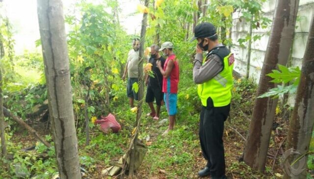 Pencari Biawak Temukan Mayat dalam Sumur Kawasan Kebun Sengon di Sidoarjo