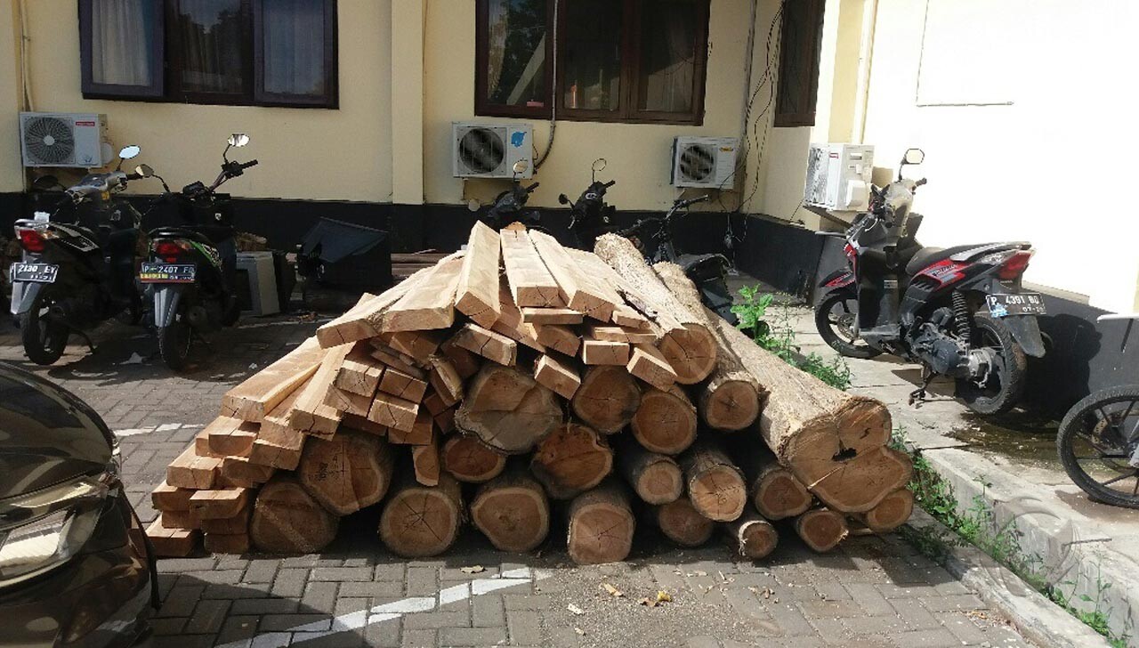 kayu ilegal