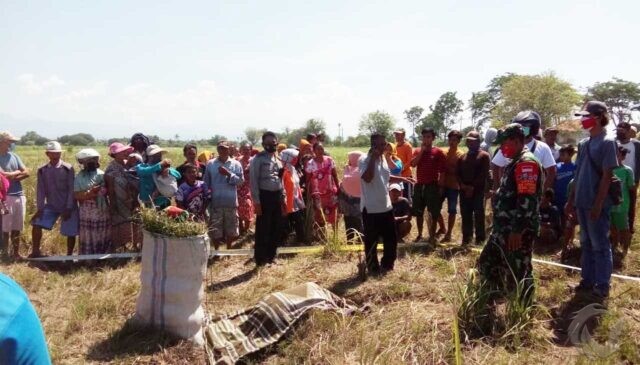 Pamit Mengarit, Lansia di Situbondo Ditemukan Meninggal di Lahan PG Asembagus