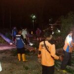 Pohon Tumbang Timpa Pemotor, Jalur Pantura Situbondo Sempat Macet Total