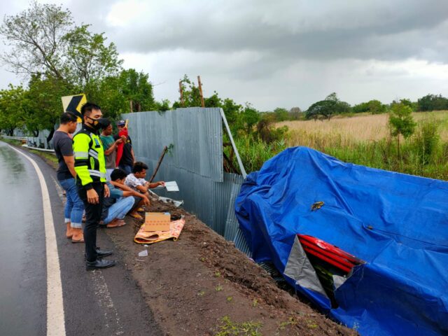 Sopir Mengantuk, Truk Bermuatan Keramik Masuk Rawa di Situbondo