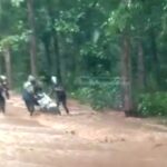 Jalan Raya Hutan Baluran Banjir, Jalur Pantura Situbondo Sempat Macet