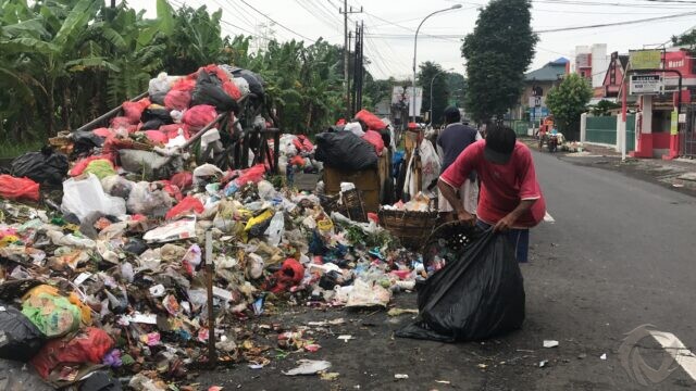 Sopir Mogok, Tumpukan Sampah Menggunung Tak Terangkut di Sejumlah TPS Jember