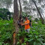 Tim BKSDA Pasang 3 Kamera di Titik Warga Tulungagung Lihat Harimau Jawa