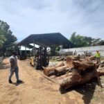 Wacana Penjualan Pohon Sono Keling, Bupati Tulungagung: Tunggu Kajian