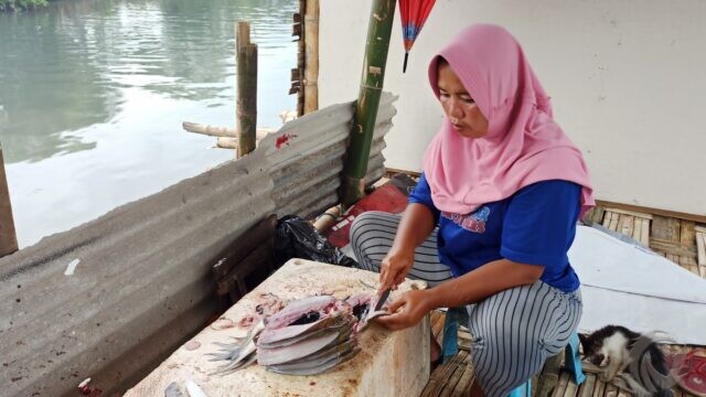 Jasa Cabut Duri Ikan Bandeng di Sidoarjo Sepi Peminat