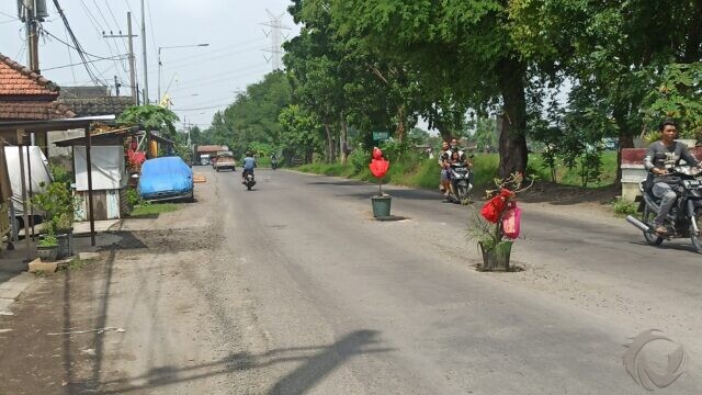 Jalan Rusak di Sidoarjo, Warga Pasang Pot Bunga dan Pohon Pisang