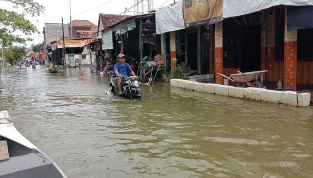 Banjir Bengawan Jero Lamongan Meluas, 8 Ribu Rumah Warga Terdampak