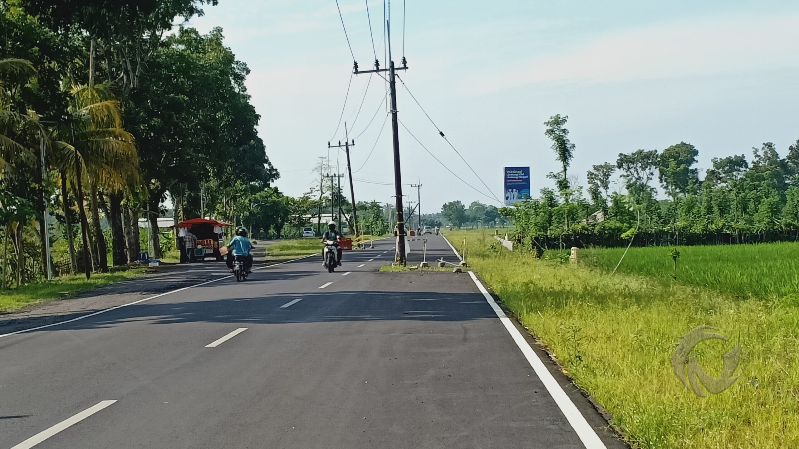 Tiang listrik di tengah di Jalan raya Wirogono Desa Dasri, Kecamatan Tegalsari, Kabupaten Banyuwangi.