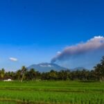 Lahan Pertanian di Banyuwangi Terpapar Abu Vulkanik Gunung Raung, Produktivitas Turun
