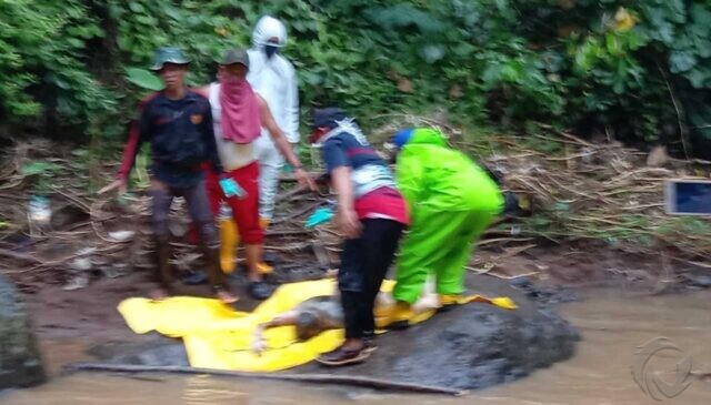 Hilang Sepekan, Perempuan di Situbondo Ditemukan Meninggal Telanjang di Sungai