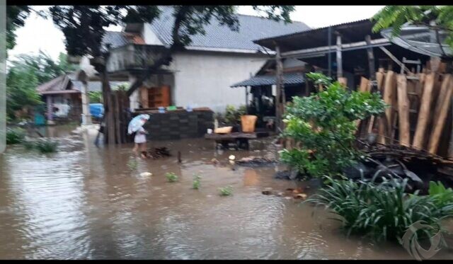 Saluran Irigasi Meluap, Ratusan Rumah dan 45 Ha Sawah di Situbondo Terendam Air 