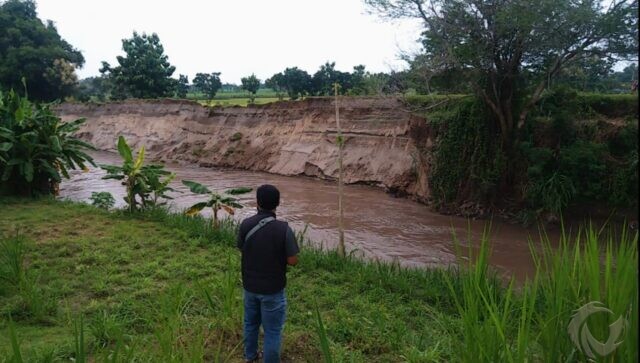 Sudah Dipasang Gedek, Tanggul Sungai Konto di Jombang Masih Longsor
