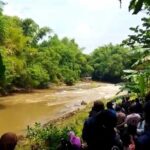 Pencari Bonsai Hilang Terseret Arus di Sungai Pikatan Mojokerto