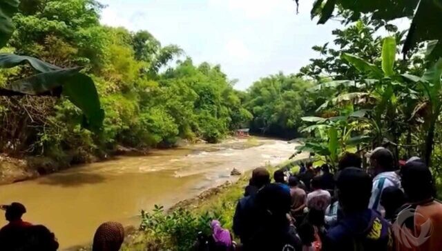 Pencari Bonsai Hilang Terseret Arus di Sungai Pikatan Mojokerto