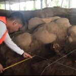 Arkeolog Temukan Kerangka Manusia Utuh di Situs Kumitir Mojokerto
