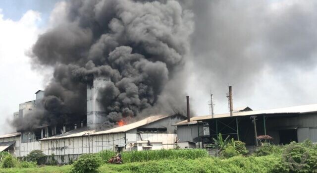 Pabrik Agrofood Makmur Mandiri Mojokerto Terbakar, Warga Rasakan Getaran