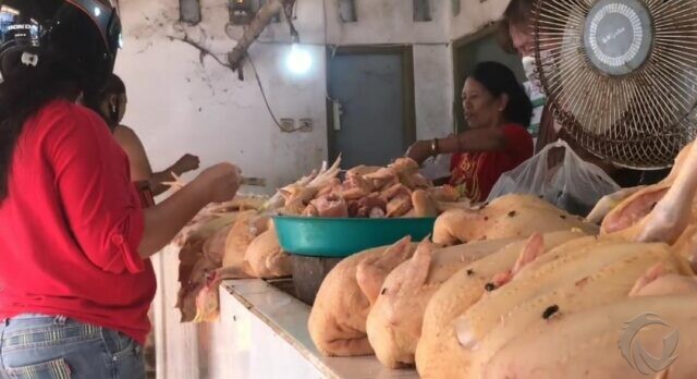 Awal Puasa, Harga Ayam Potong di Blitar Juga Naik, Cabai Anjlok