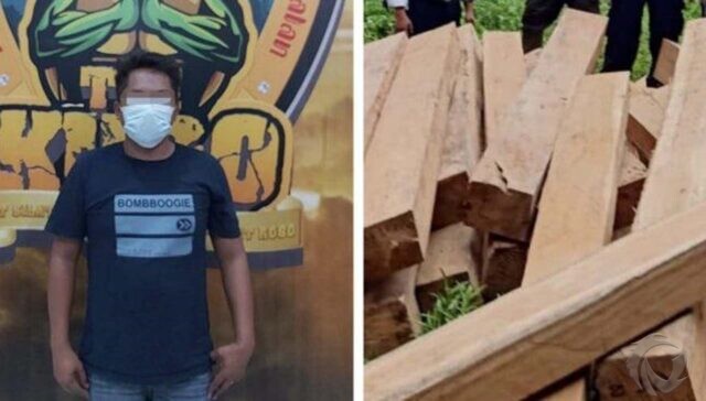 Polisi Bongkar Illegal Logging di Lumajang yang Rugikan Perhutani Rp. 200 Juta