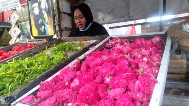 Musim Nyekar, Harga Bunga Mawar di Jombang Ikut Mekar, Rp 4 Ribu Per  Tangkai