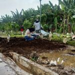 Diduga Isi Jenazah Korban Penganiayaan, Makam di Delta Praloyo Sidoarjo Dibongkar Polisi