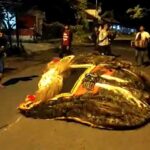 VIDEO: Patrol Sahur dengan Reog Ala Warga Jember