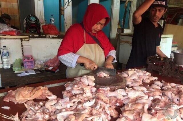 Harga Ayam Potong di Situbondo Mulai Naik,  Daging Sapi Super Masih Stabil