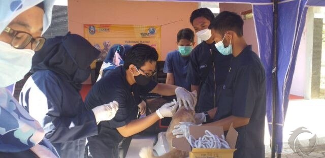 Hari Rabies, Ratusan Hewan Peliharaan di Situbondo Dapat Vaksin Gratis