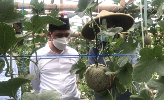 Dikunjungi Wabup Mojokerto, Petani Melon Minta Pengembangan Wisata Berbasis Pertanian 