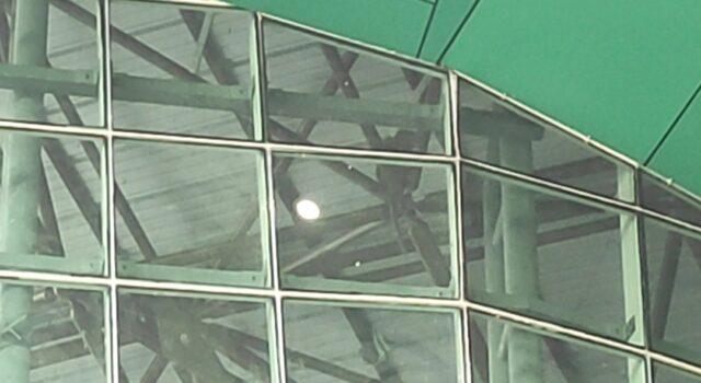 Monyet Ekor Panjang Nangkring di Atap Gedung Auditorium Unej