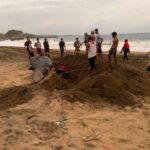 Warga Wonotirto Blitar Digegerkan Bangkai Hiu Paus Terdampar di Pantai