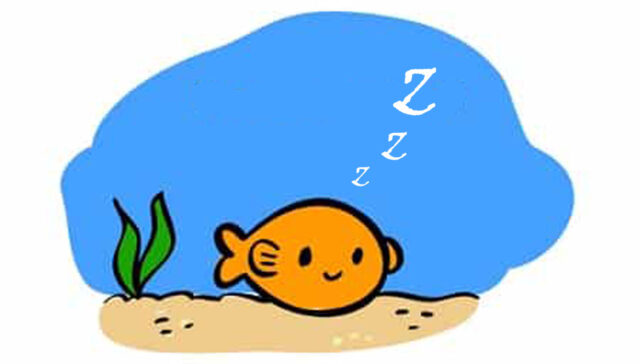 Apakah Ikan Juga Tidur?