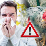 Virus Flu Burung dari China Dikhawatirkan Lebih Menular