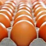 Terkait SE Gubernur Jatim Agar ASN Beli Telur Ayam, Disperindag Bungkam