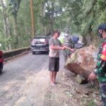 Lereng Semeru di Lumajang Longsor di KM 54, Bahayakan Pengguna Jalan Malang – Jember
