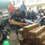 Perkara Pencurian 33 Balok Kayu Sonokeling Dilimpahkan ke Polres Situbondo