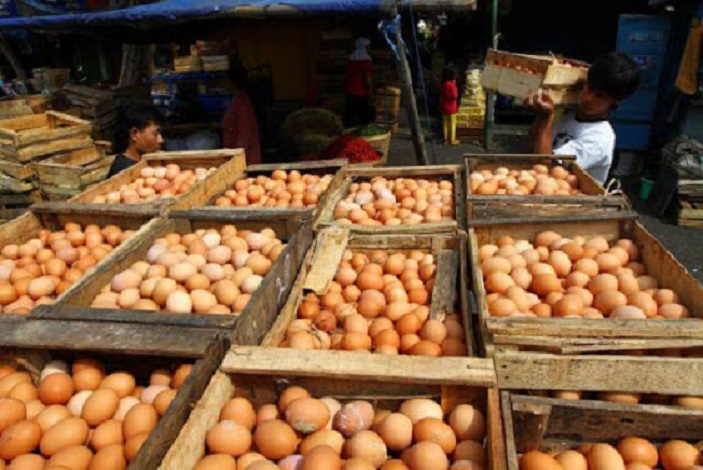 Pemkab Mojokerto Berencana Minta ASN Beli Telur dari Peternak Lokal 