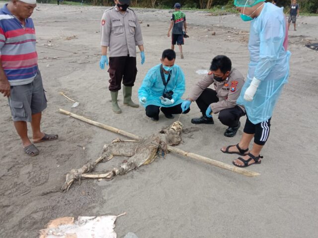 Cari Kelapa di Pantai, Pemuda di Blitar Temukan Mayat Tinggal Kerangka