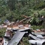 Polisi Akan Investigasi Pohon Tumbang di Jolotundo Mojokerto yang Makan Korban