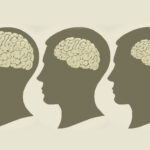 Hasil Studi, Ukuran Otak Manusia Modern Semakin Mengecil