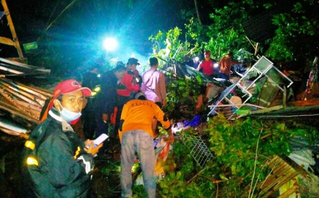 Korban Tewas Ditimpa Pohon Tumbang di Jolotundo Mojokerto Bertambah Jadi 3 Orang