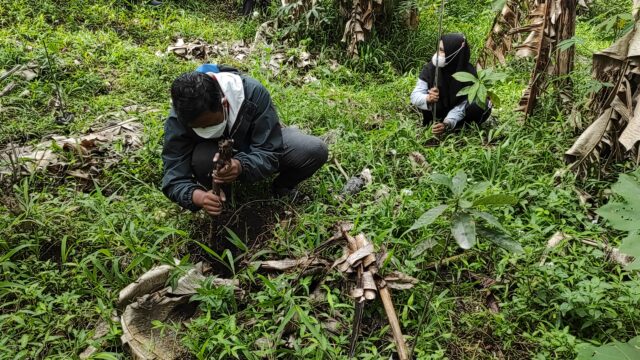 Peringati Hari Pahlawan, Relawan Kediri Tanam Pohon di Gunung Kelud