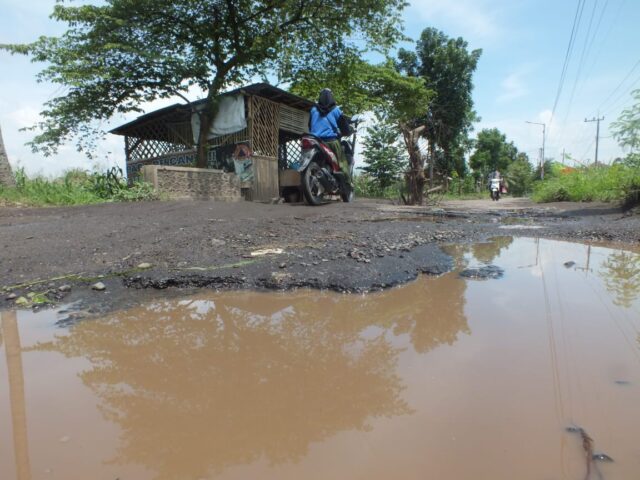 Jalan Antar-Kecamatan Sepanjang 5 Kilometer di Jember Rusak Parah