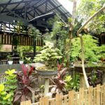 Kedai Bonsai Kopi Parimono Jombang, Tempat Nongkrong Asyik