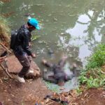 Mayat Mengapung di Sungai Sumberbendo Kabupaten Probolinggo, Polisi Masih Selidiki