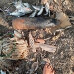 Menjala Ikan di Sungai Warga Sidoarjo Temukan Mortir