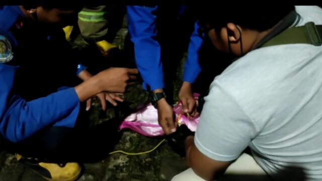 Evakuasi Musang di Atap Rumah Warga Jember, Petugas Damkar Terluka