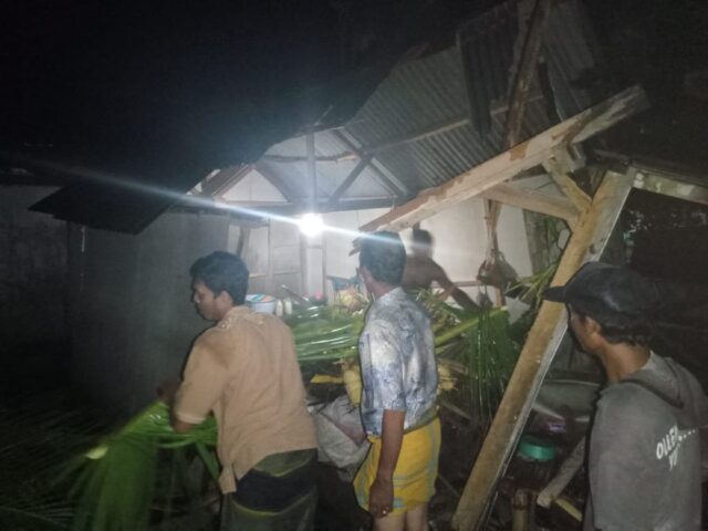 Tertimpa Pohon Kelapa, Rumah Janda Lansia di Situbondo Rusak Berat