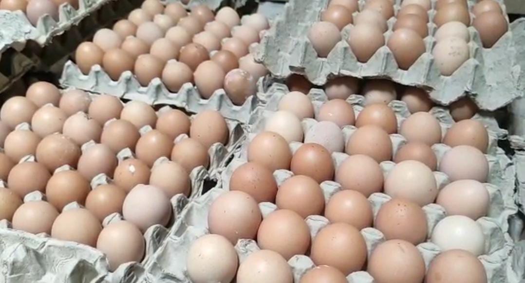 Harga Telur Ayam di Blitar, Sepekan Naik Tiga Kali